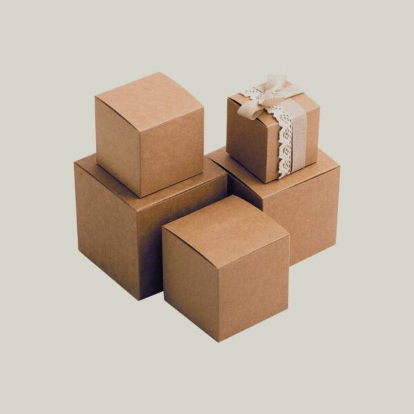 Custom Kraft Material Packaging
